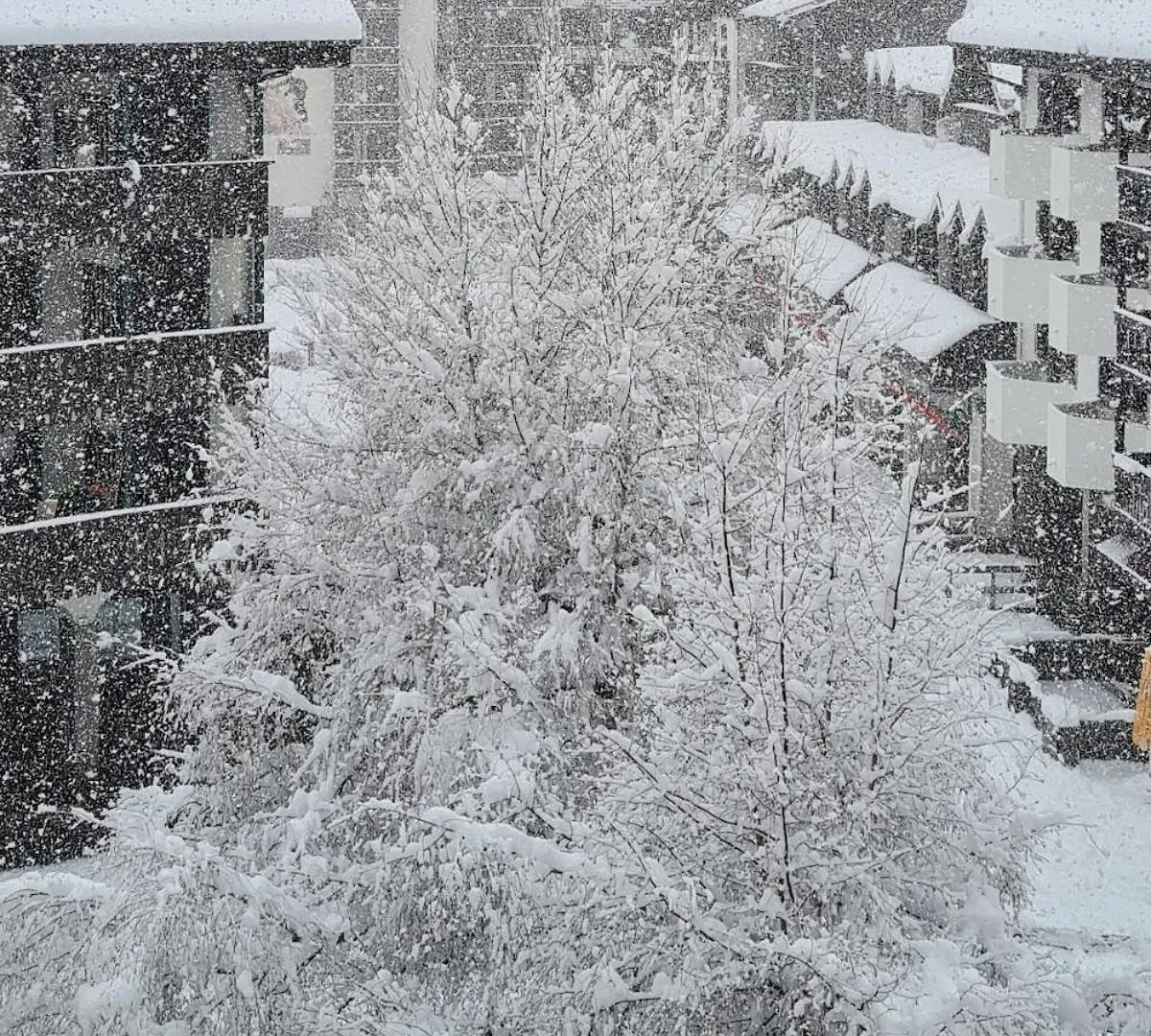 Le Studio Du Cerf Chamonix