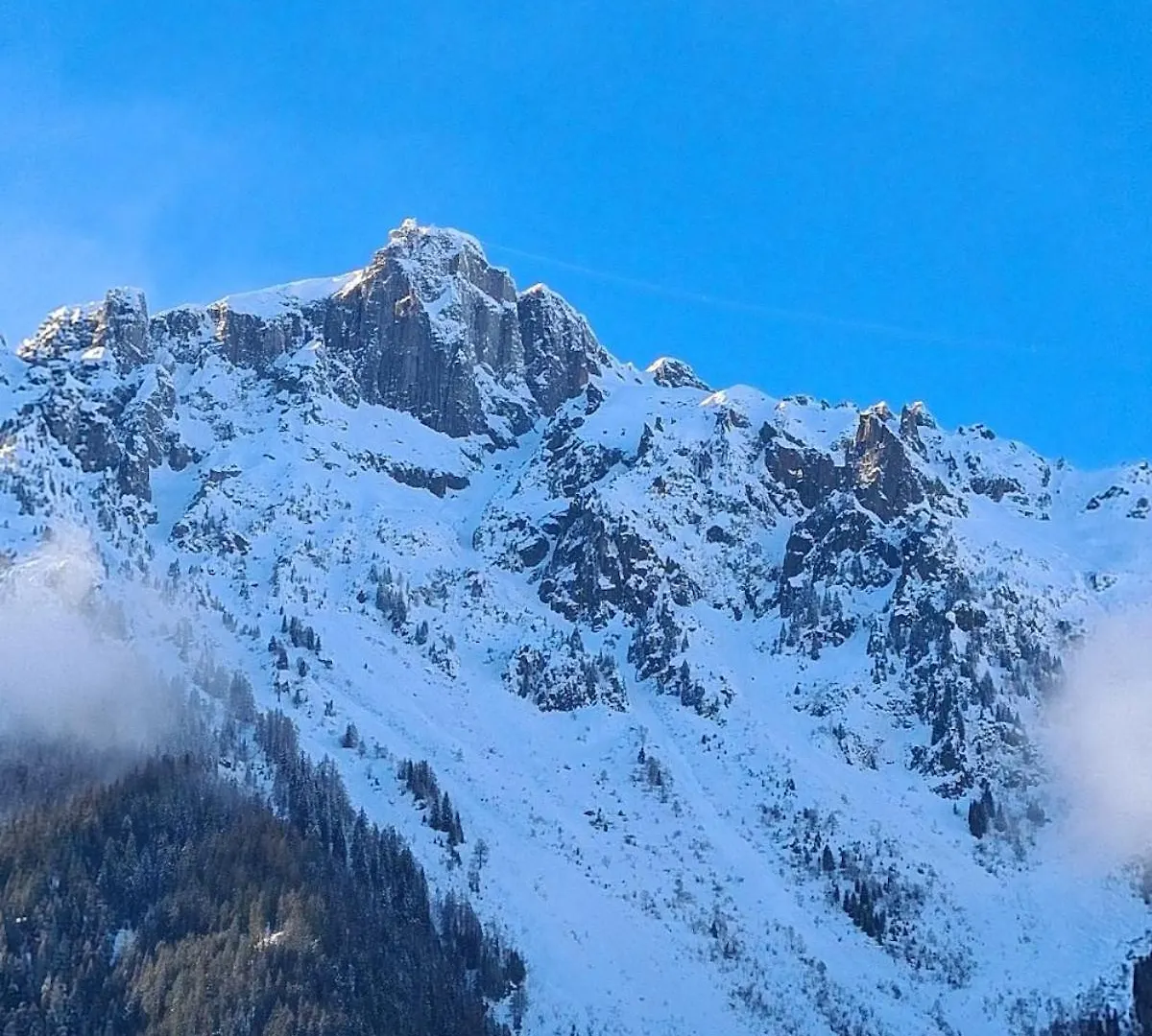 Daire Le Studio Du Cerf Chamonix